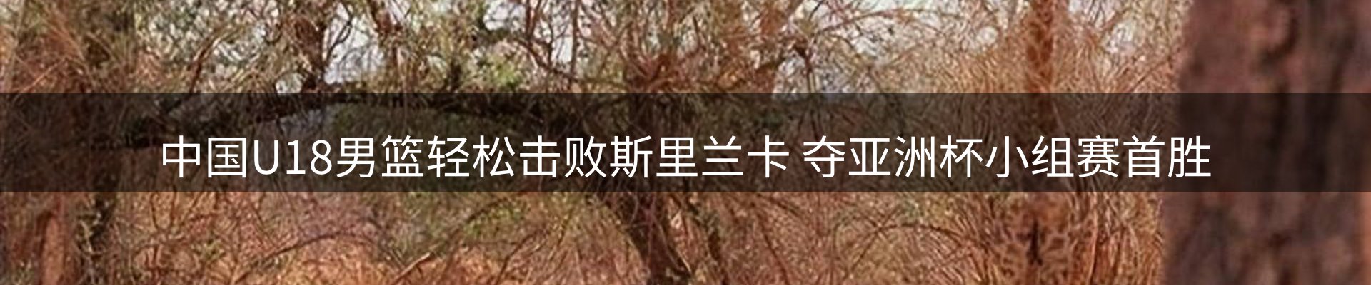 品牌资讯