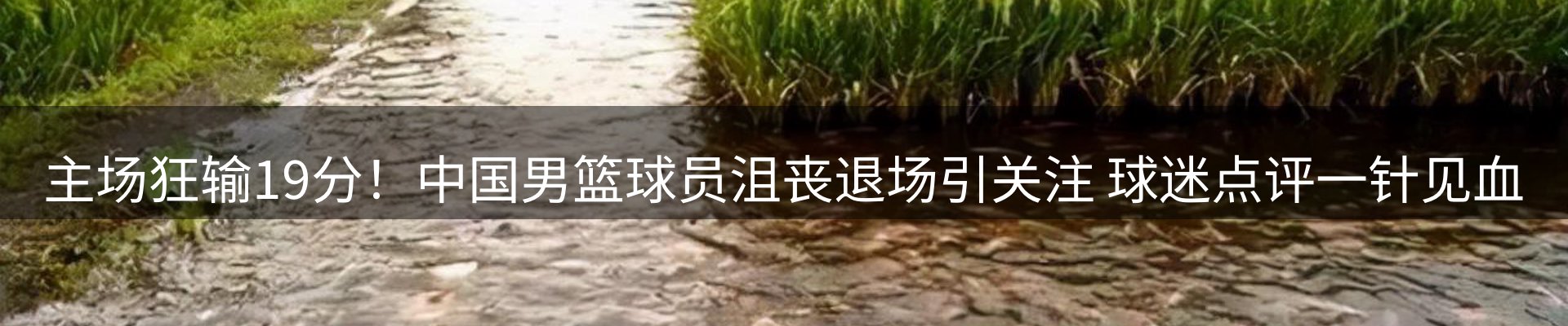 品牌资讯