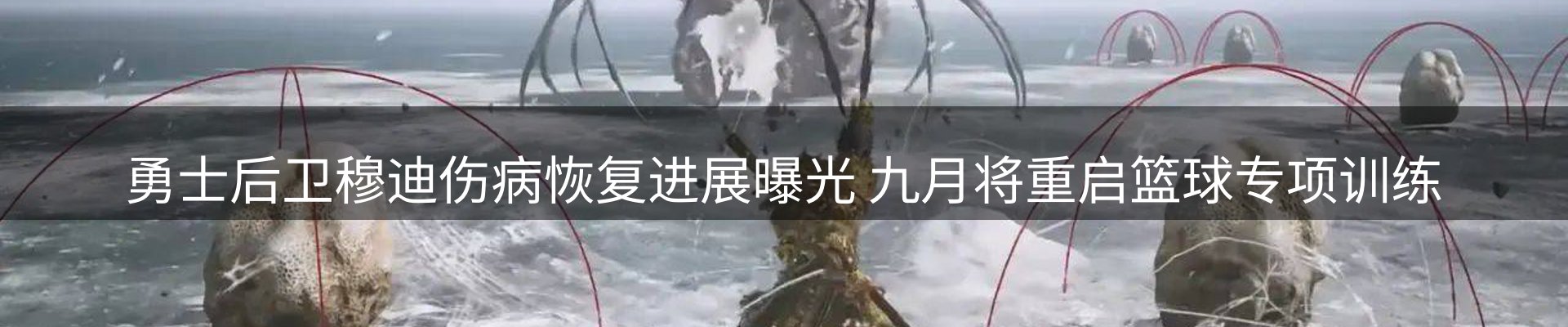 品牌资讯