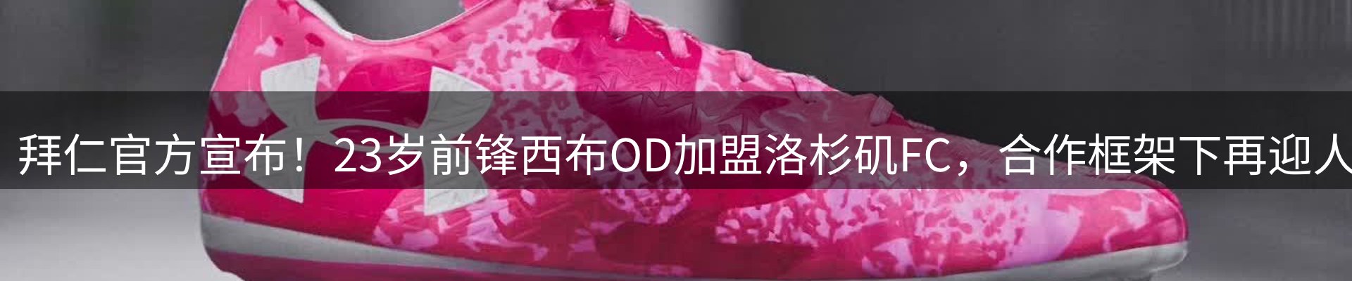 品牌资讯