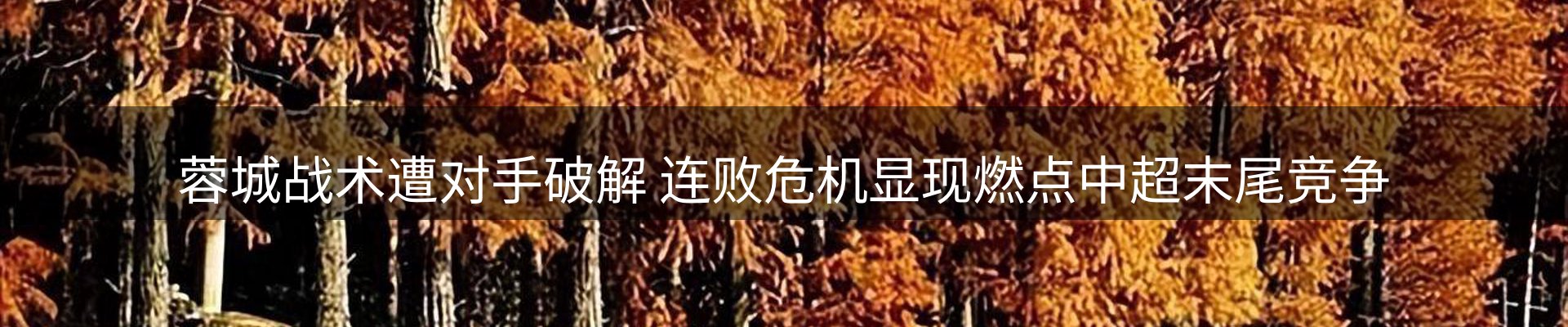 品牌资讯