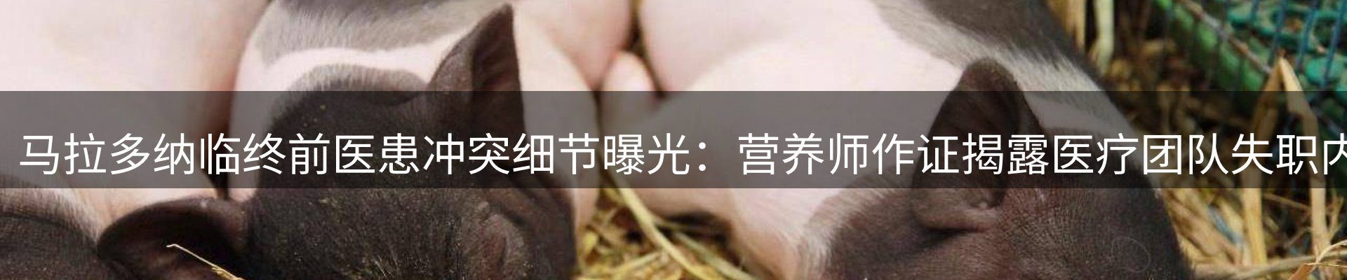 品牌资讯
